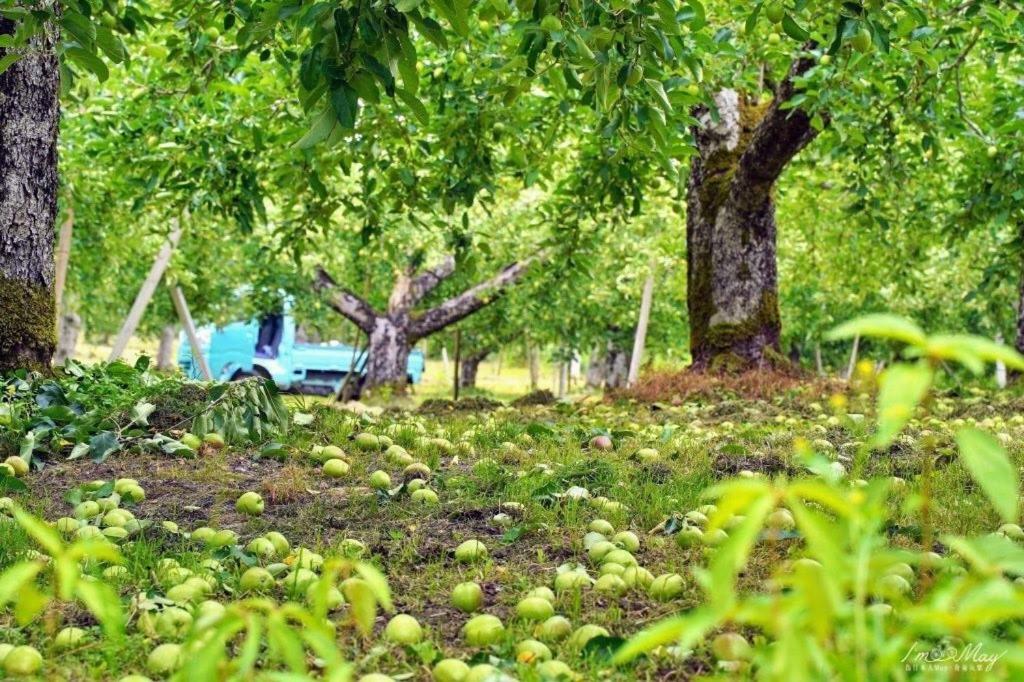 Daichan Farm Guest House Asahimacsi Kültér fotó